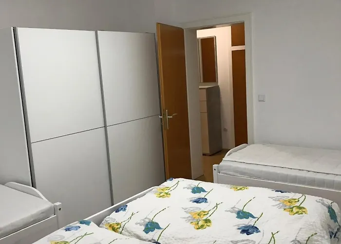 Eichhoernchen 布劳恩拉格