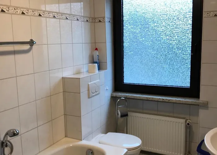 Eichhoernchen * 布劳恩拉格