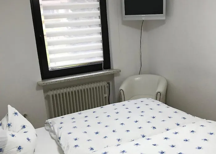 Eichhoernchen * 布劳恩拉格